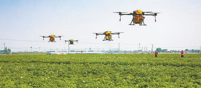 各地统筹疫情防控与经济社会发展，多举措取得阶段性成效